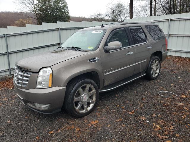 CADILLAC ESCALADE 2011 1gys4bef8br348126