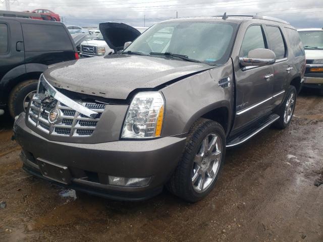 CADILLAC ESCALADE 2013 1gys4bef8dr126270