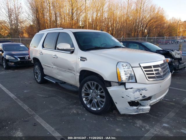 CADILLAC ESCALADE 2011 1gys4bef9br230294