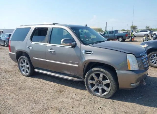 CADILLAC ESCALADE 2011 1gys4bef9br262422