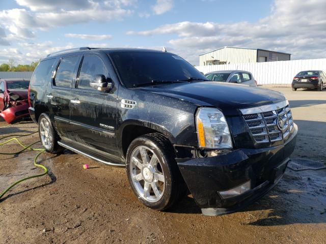 CADILLAC ESCALADE L 2011 1gys4bef9br315913