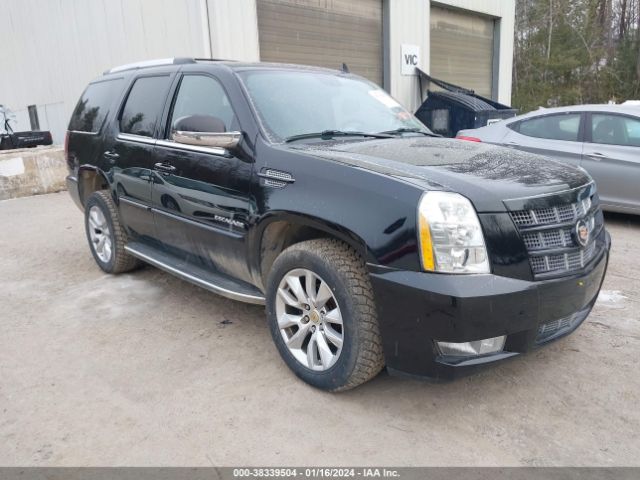 CADILLAC ESCALADE 2013 1gys4bef9dr167880