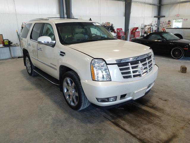 CADILLAC ESCALADE L 2014 1gys4bef9er166441