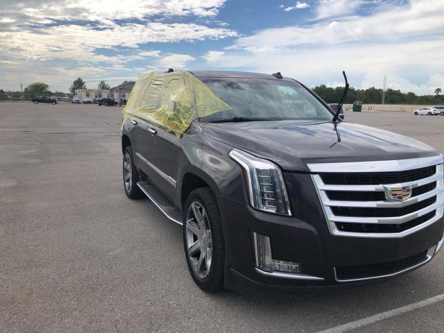 CADILLAC ESCALADE L 2016 1gys4bkj7gr356413