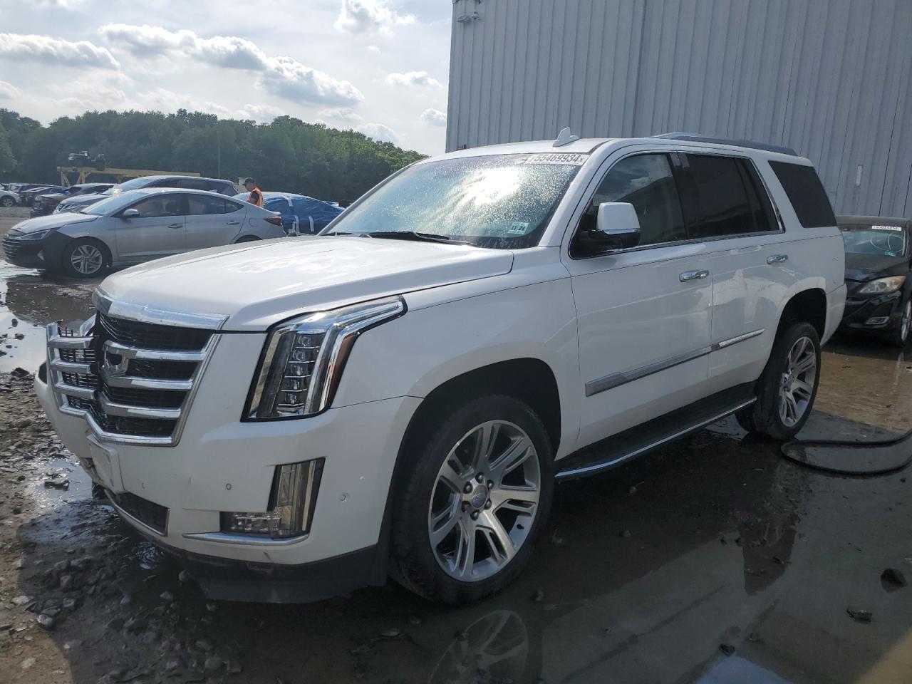 CADILLAC ESCALADE 2019 1gys4bkj9kr327388