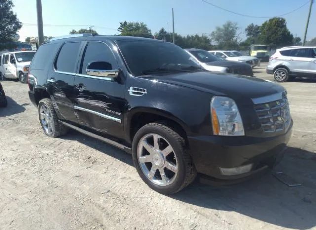 CADILLAC ESCALADE 2011 1gys4cef0br112723