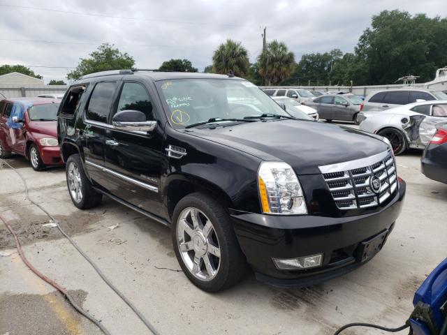 CADILLAC ESCALADE P 2011 1gys4cef0br155684