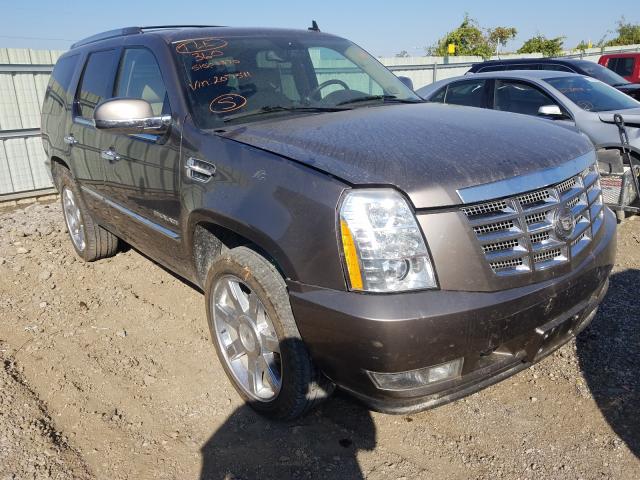 CADILLAC ESCALADE P 2011 1gys4cef0br207511