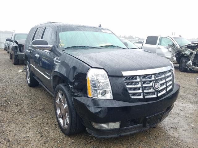 CADILLAC ESCALADE P 2011 1gys4cef0br293970