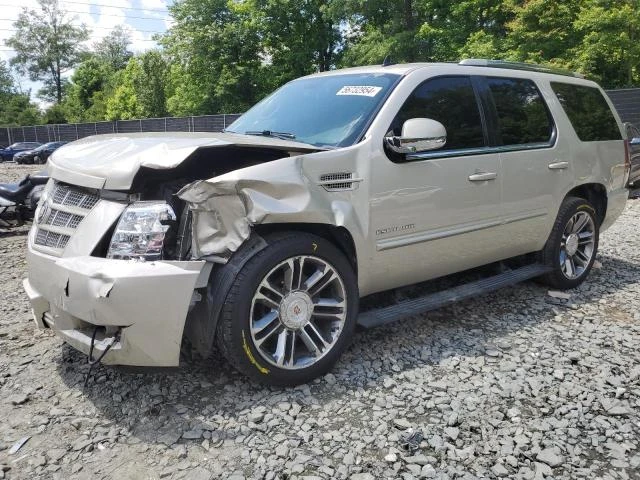 CADILLAC ESCALADE P 2013 1gys4cef0dr321754