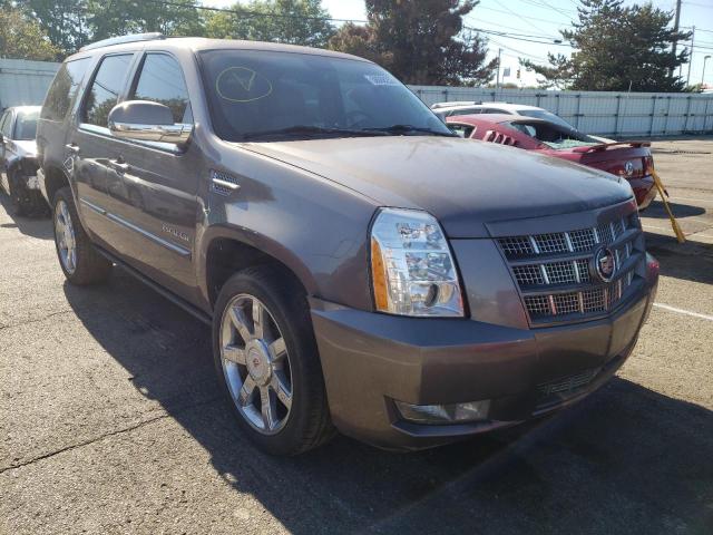 CADILLAC ESCALADE P 2013 1gys4cef0dr334021