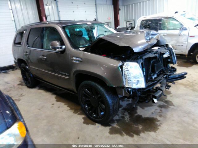 CADILLAC ESCALADE 2014 1gys4cef0er113617