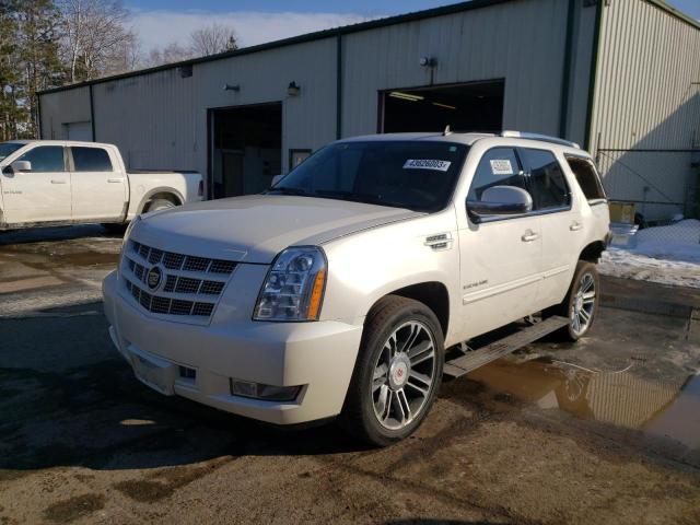 CADILLAC ESCALADE P 2014 1gys4cef0er133933