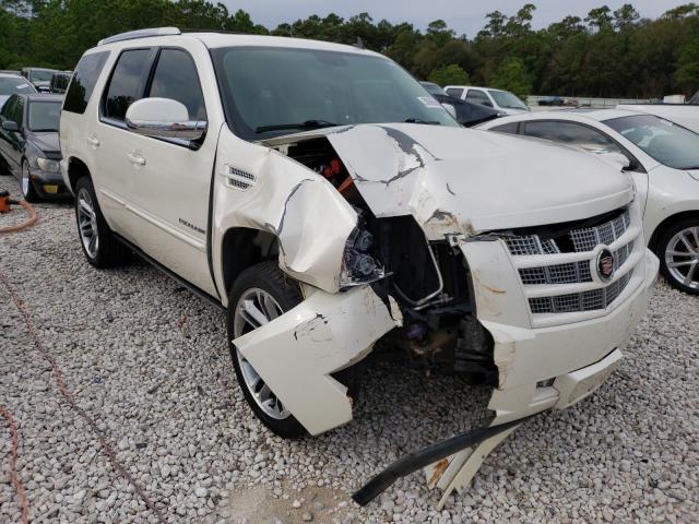 CADILLAC ESCALADE P 2014 1gys4cef0er136556