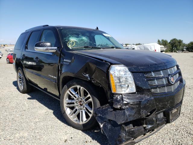 CADILLAC ESCALADE P 2014 1gys4cef0er183537