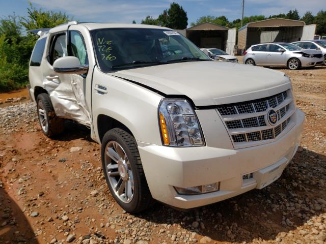 CADILLAC ESCALADE P 2014 1gys4cef0er243395