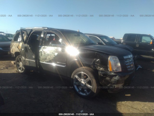 CADILLAC ESCALADE 2011 1gys4cef1br134035