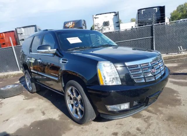 CADILLAC ESCALADE 2011 1gys4cef1br185518