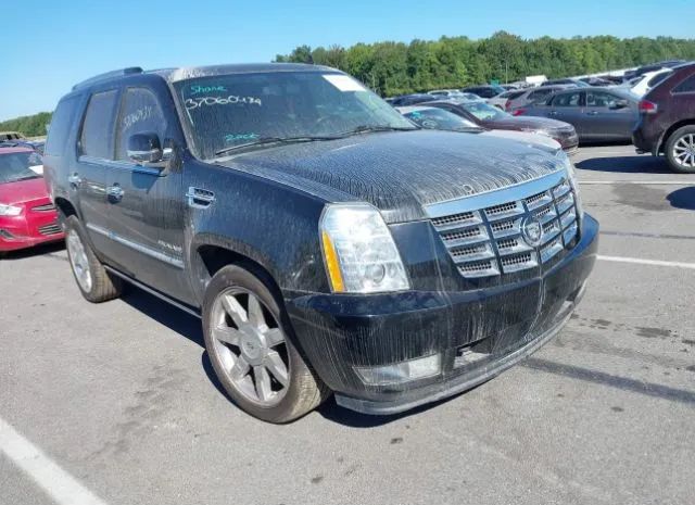 CADILLAC ESCALADE 2011 1gys4cef1br194154