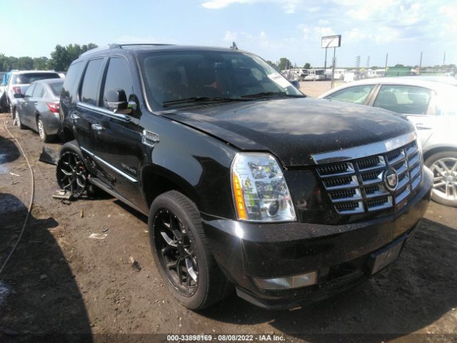 CADILLAC ESCALADE 2011 1gys4cef1br367011