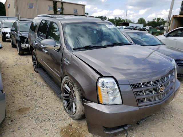 CADILLAC ESCALADE P 2013 1gys4cef1dr125192