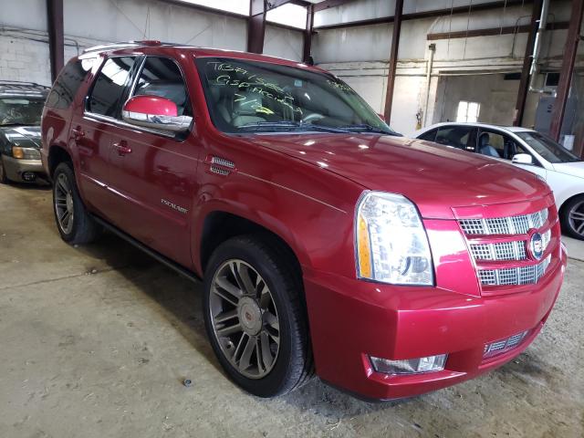 CADILLAC ESCALADE P 2013 1gys4cef1dr129081