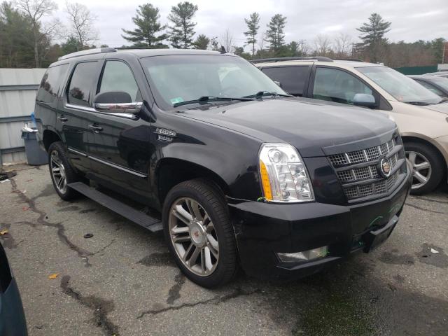 CADILLAC ESCALADE P 2013 1gys4cef1dr344959