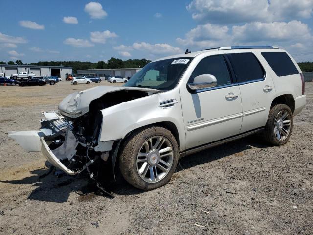 CADILLAC ESCALADE P 2014 1gys4cef1er160476