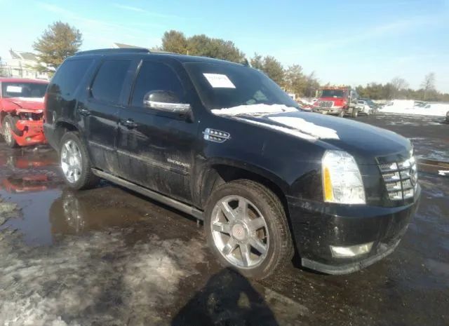 CADILLAC ESCALADE 2011 1gys4cef2br124968