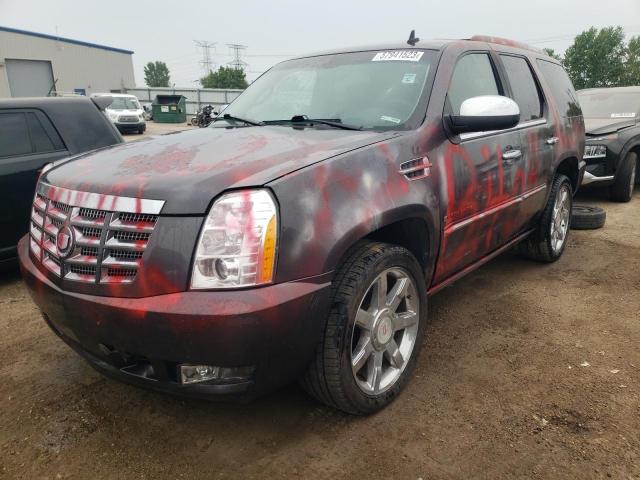 CADILLAC ESCALADE P 2011 1gys4cef2br244284