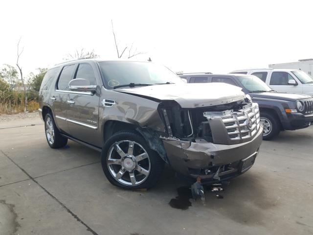 CADILLAC ESCALADE P 2011 1gys4cef2br317721