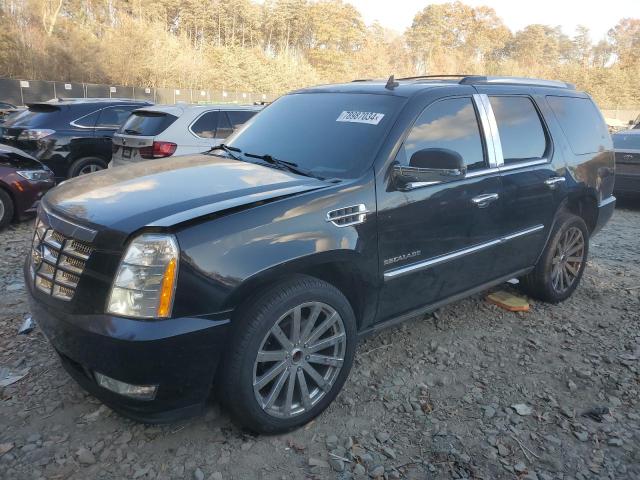 CADILLAC ESCALADE P 2011 1gys4cef2br321655