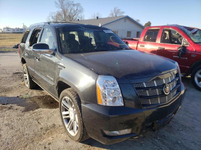 CADILLAC ESCALADE P 2013 1gys4cef2dr121779