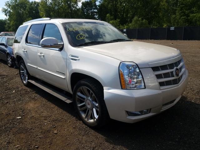 CADILLAC ESCALADE P 2013 1gys4cef2dr127744