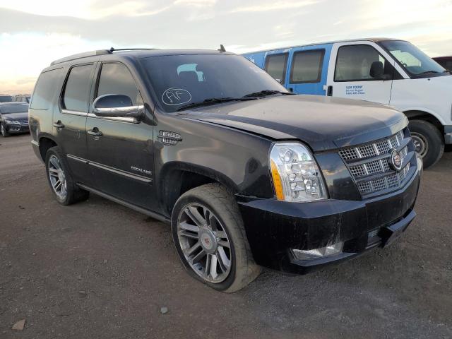 CADILLAC ESCALADE P 2013 1gys4cef2dr156063