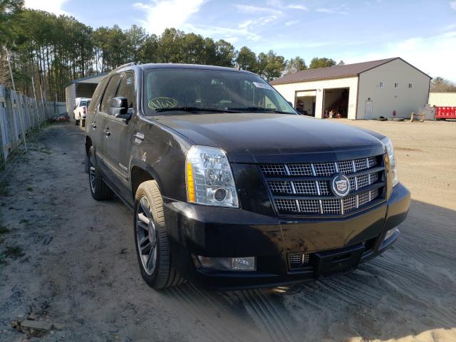 CADILLAC ESCALADE P 2014 1gys4cef2er140897