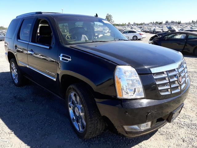 CADILLAC ESCALADE P 2011 1gys4cef3br102316