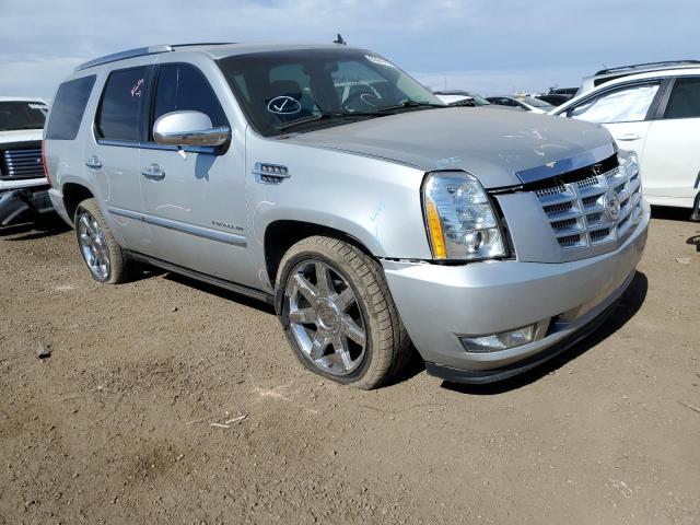 CADILLAC ESCALADE P 2011 1gys4cef3br117544