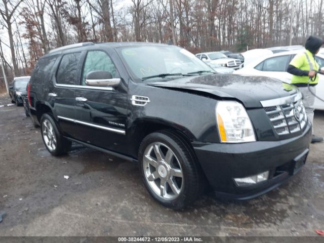 CADILLAC ESCALADE 2011 1gys4cef3br212721