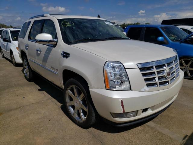 CADILLAC ESCALADE P 2011 1gys4cef3br221029