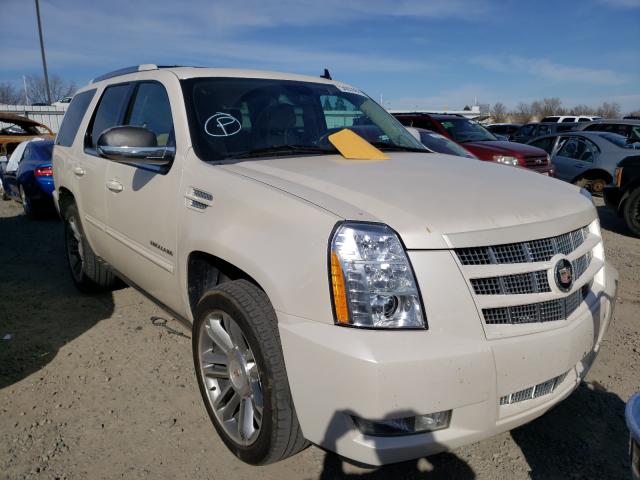 CADILLAC ESCALADE P 2013 1gys4cef3dr179352