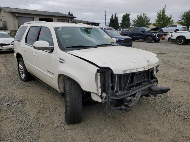 CADILLAC ESCALADE P 2013 1gys4cef3dr229795