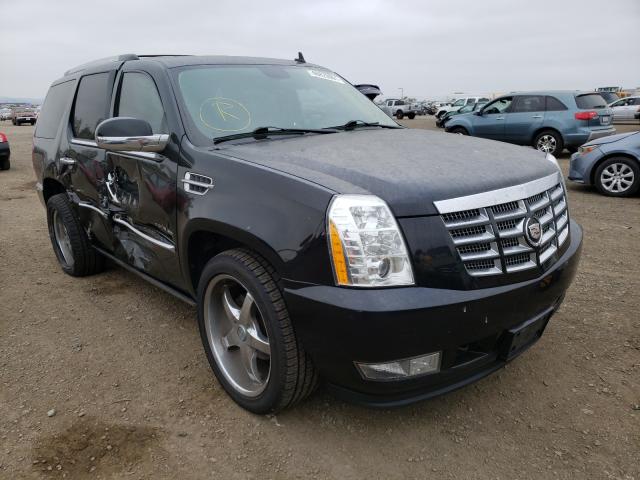 CADILLAC ESCALADE P 2011 1gys4cef4br117262