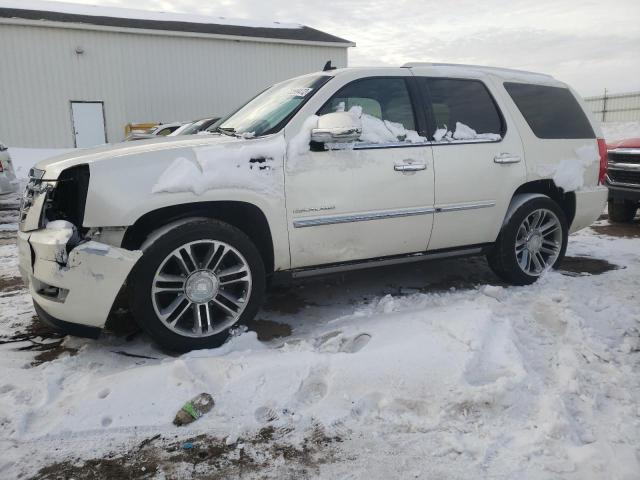 CADILLAC ESCALADE P 2011 1gys4cef4br143781