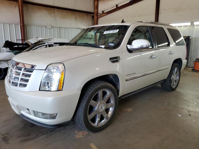 CADILLAC ESCALADE P 2011 1gys4cef4br191233