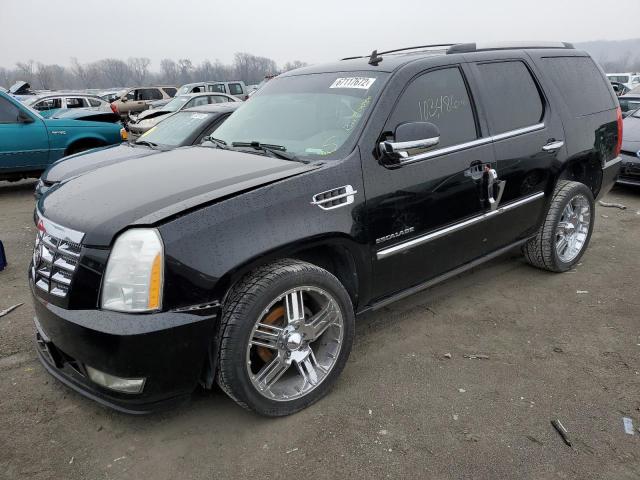 CADILLAC ESCALADE P 2011 1gys4cef4br221251