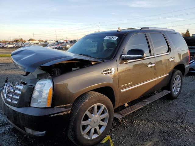 CADILLAC ESCALADE 2011 1gys4cef4br254217