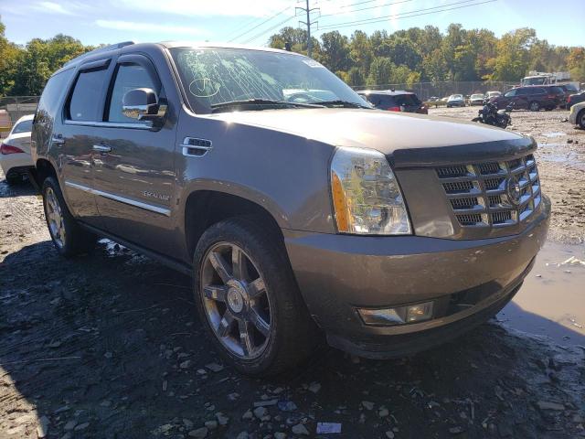 CADILLAC ESCALADE P 2011 1gys4cef4br396552