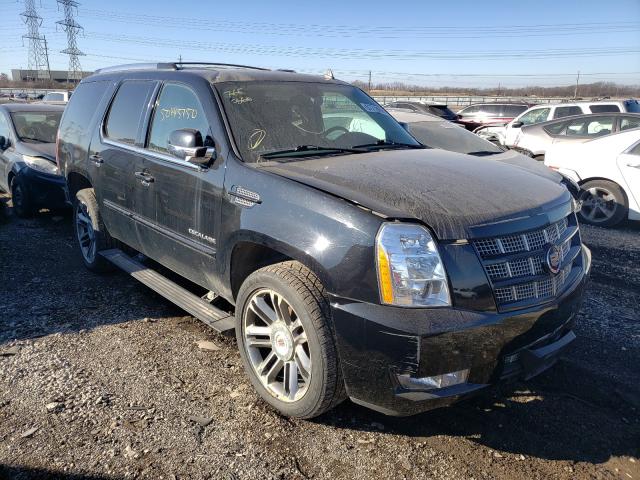 CADILLAC ESCALADE P 2013 1gys4cef4dr135859