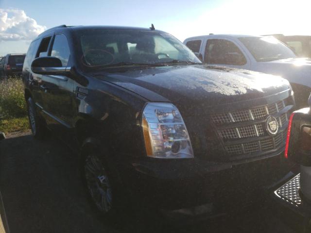 CADILLAC ESCALADE P 2013 1gys4cef4dr164973